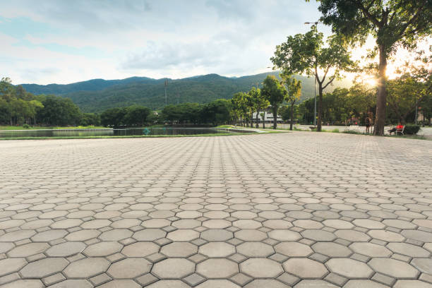 Best Interlocking Driveway Pavers  in Omao, HI